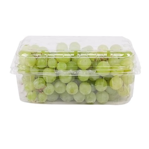 Green Grapes [Egypt]