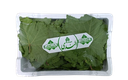 Grape Leaves [Jordan]