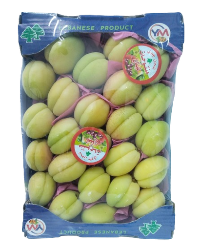 Apricot Ajami Air Cargo [Lebanon]