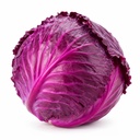 Cabbage Red [Egypt]