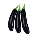 Eggplant Slim [Kuwait]
