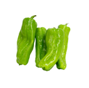 Green Bell Pepper Roman [Kuwait]