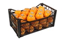 Orange Navel Basket [Syria]