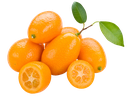 Kumquat [Jordan]