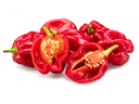 Red Chili Pepper Habanero [Morocco]