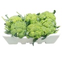 Broccoli [Kuwait]