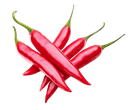 Red Chili Pepper [Egypt]