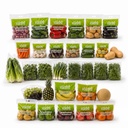 Fruits & Vegetables Collection 