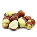 Jujube [China]