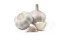 Garlic [India]