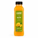 Fresh Chopped Mango Juice 330Ml 