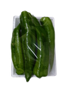Green Bell Pepper Roman [Jordan]