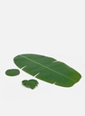 Banana Leaf [India]