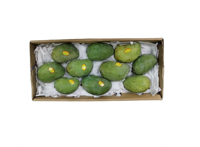 Mango Timur [Egypt]
