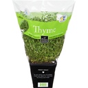 Thyme [France]