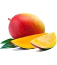 Mango Heidi [Egypt]