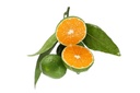 Clementine Mandarin Air Cargo [Lebanon]