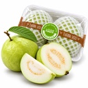 Guava [Thailand]