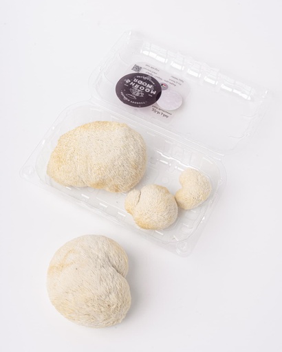 فطر  عرف الاسد100جرام [الكويت]