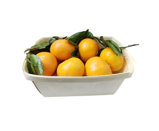 Mandarin Air Cargo [Lebanon]