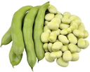 Fava Beans [Kuwait]