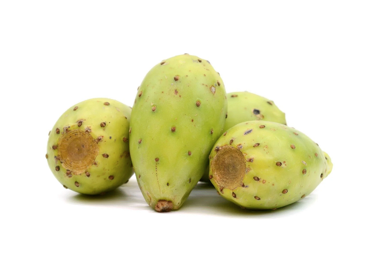 Barbary Fig [Yemen]
