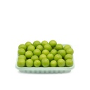 Janarek [Syria]
