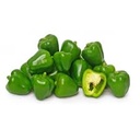 Green Jalapeno [Kuwait]