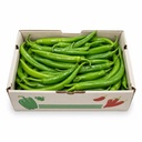 Green Chili Pepper [Kuwait]
