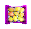 Mango Mabroka [Egypt]